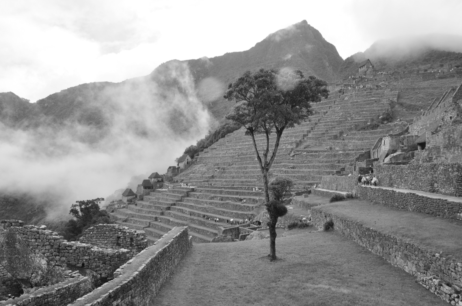 Machu_Picchu104.JPG