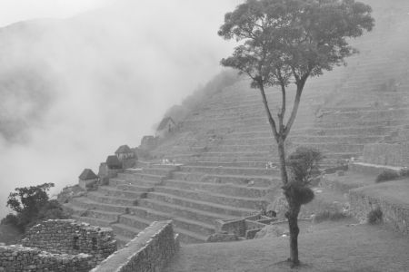 Machu_Picchu103.JPG