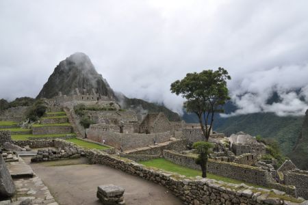 Machu_Picchu082.JPG