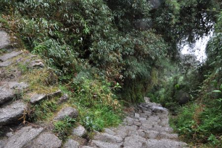 Machu_Picchu050.JPG